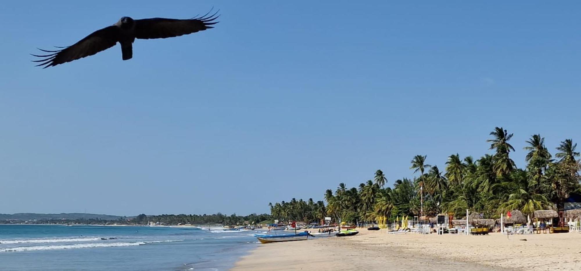 Lucky Beach Resort Trincomalee Kültér fotó